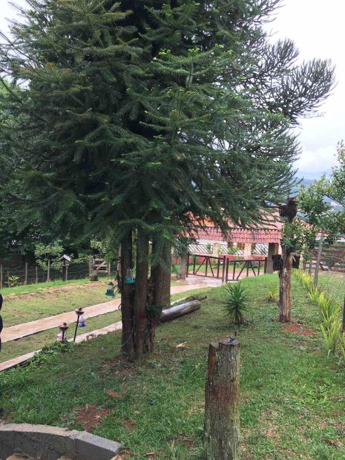 Casa De Campo Em Monte Verde , Linda Vista Para Montanhas Exteriör bild